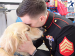 Do Psychiatric Service Dogs Really Help Veterans?