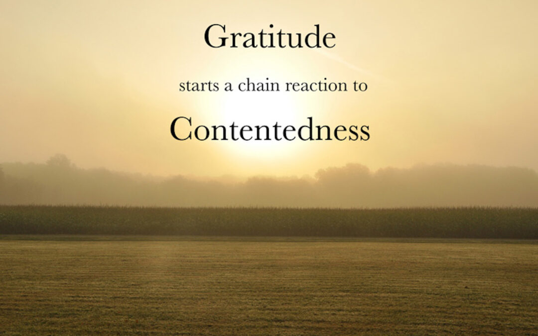 Is it possible to be grateful in the midst of suffering?